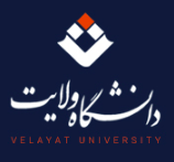 Velayat University