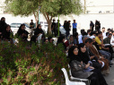 آلبوم خاطرات سال 1404
