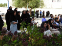 آلبوم خاطرات سال 1404