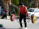 آلبوم خاطرات سال 1404